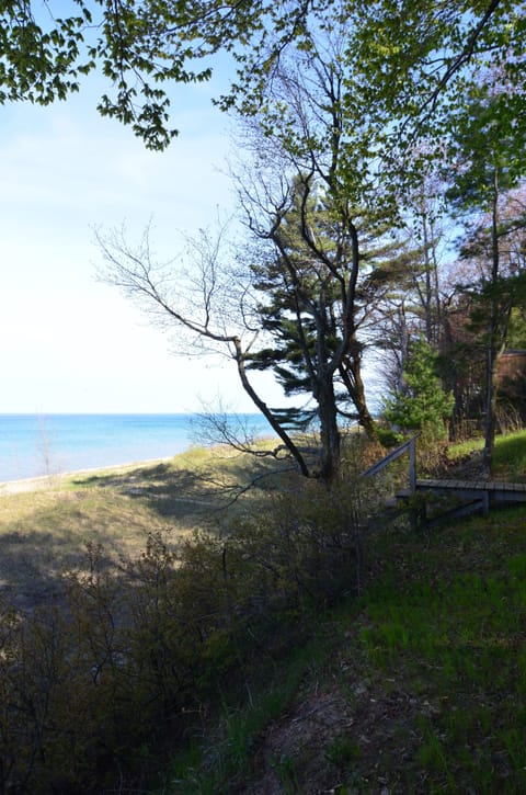 Looking north from the front yard.