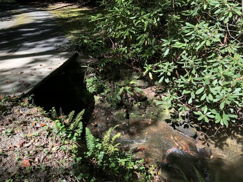 Mountain stream running through property