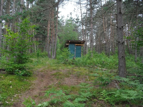 Neat and clean outhouse.