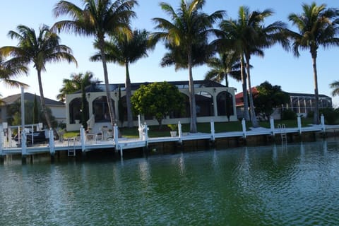 View of the backyard 