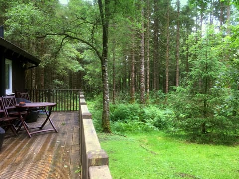 Great for wildlife watching