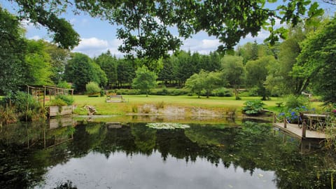 Lake and meadow behind