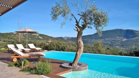 The characteristic olive tree by the pool!