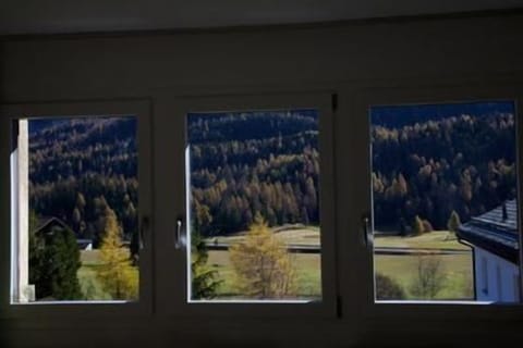 View from the livingroom