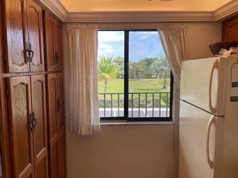 Kitchen view out back