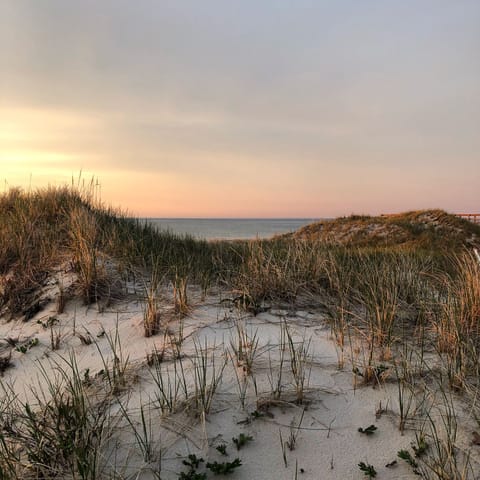 1/2 mile from the Sea Street Beach