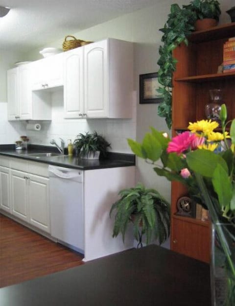 Galley style kitchen (this is the previous countertops).