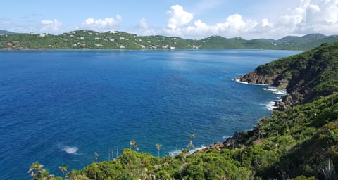 Enjoy the view of Magens Bay from the Jungle Room at The Dancing Orchid B&BVilla