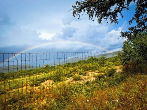 Fresh Summer rain brings a gift from Mother Nature. (Photo by: 2024 Vrbo Guest)