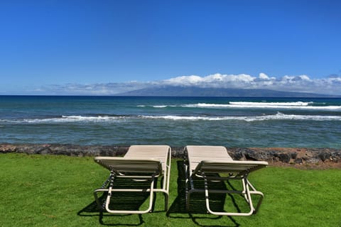 Check out Molokai, whales, turtles or just be mesmerized by the waves