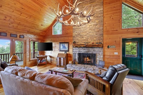 Wood burning fireplace