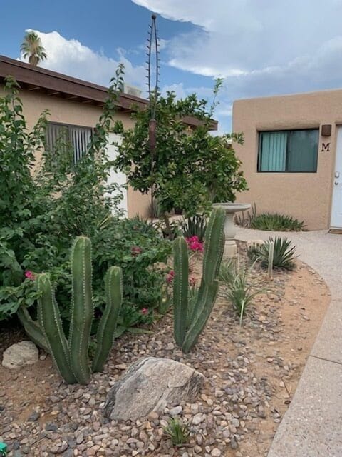 Desert landscaping in front of casita M.