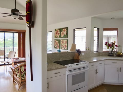 Kitchen, living area and lanai