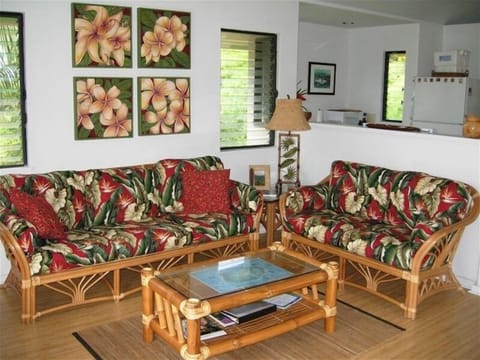 Tropical decor with original art, looking from living room into kitchen