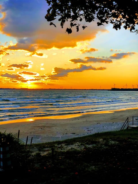 This is why we love it here...