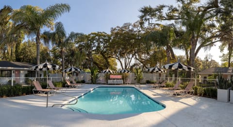 Shared swimming pool.