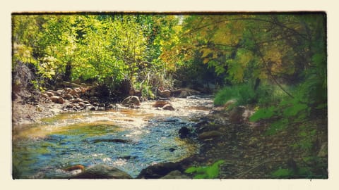 Streamside 1890's Retreat: Tree Canopy, Firepit, Bistro Patio, Game Garage