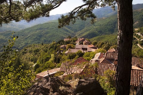 Breathtaking views on the Medieval authentic hamlet of Esparon. Untouched views.