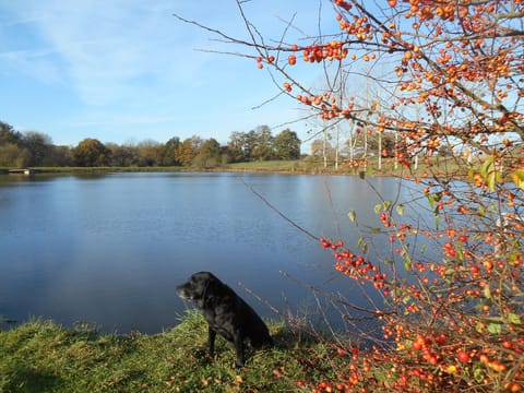 Lake