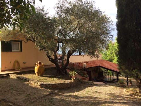 upper level left, lower level ahead