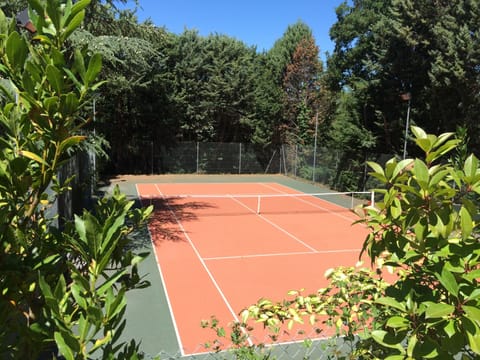 Sport court