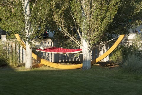 Enjoy relaxing in the hammock.
