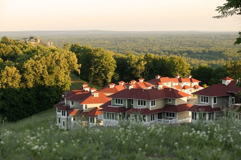 The Mountain Top Condos