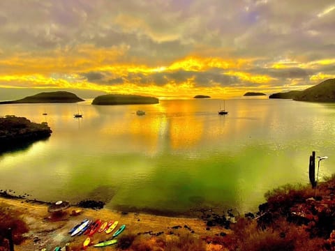 World-class view with insane sunrises every morning. All the water toys are free