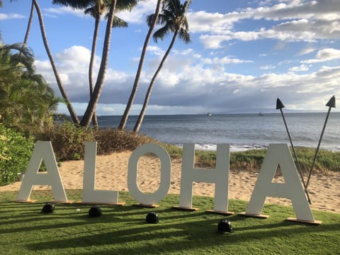 Aloha !
2025