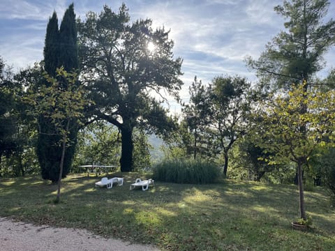 Garden with loungers and TT table 