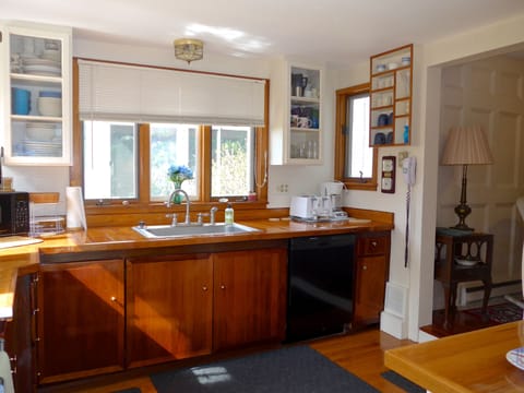 Kitchen, view from slider from small green house