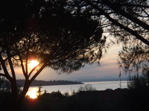 Villa Larry in San Feliciano sul Trasimeno with garden and olive grove Villa in Umbria
