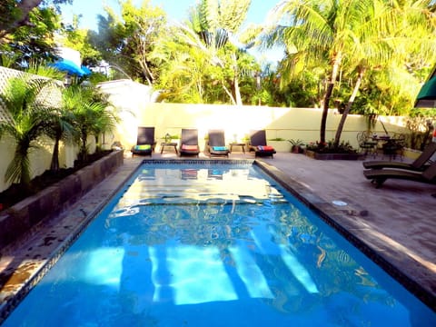 Casa Koyari's new pool is a lush tropical haven. ESCAPE. RELAX. SOAR
