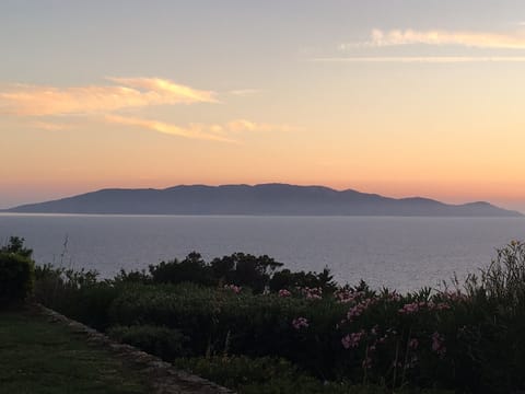 Another stunning sunset from the garden.