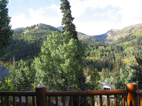 Summer view from the south facing deck