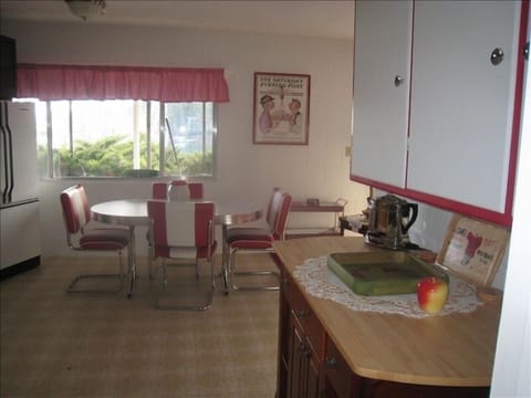 Retro Kitchenette Lower