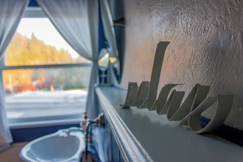 Gorgeous view of the Oregon pines.