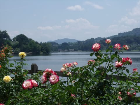 Lake Junaluska