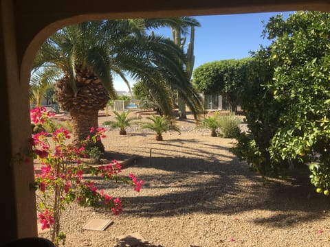 Garden View from MBR