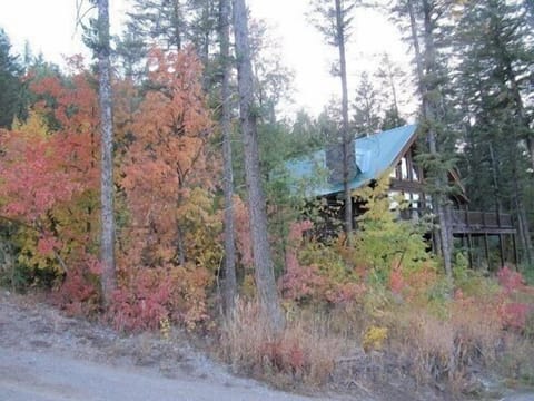 View of house from the driveway