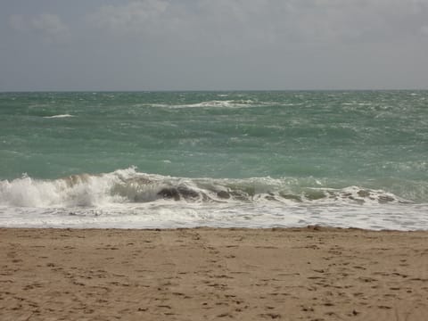 Beautiful place to sit and spend the day