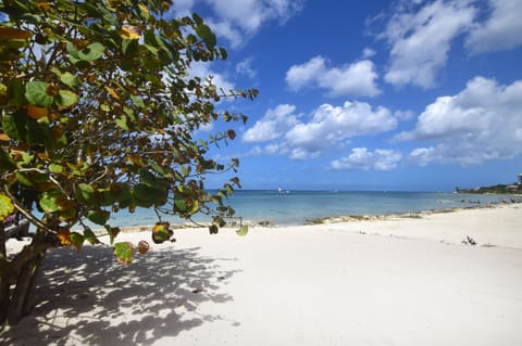 our beach