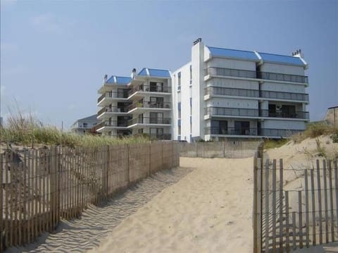 View from beach