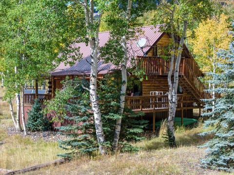 Lost Elk Lodge - Jasper, CO