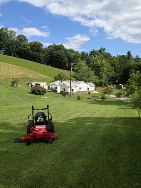Back yard