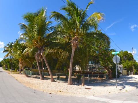 Home is located on a corner lot with beautiful large mature palms