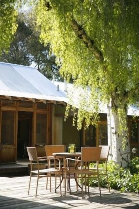 Tall birch trees in garden offer shade by sun-dappled breakfast table.