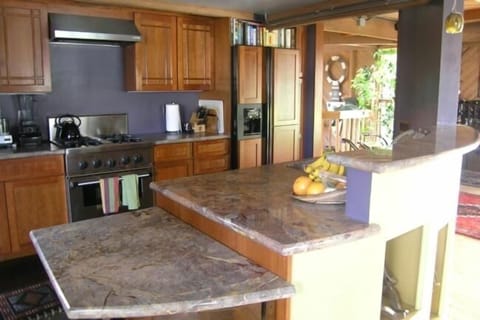 State of the art kitchen with custom marble counters