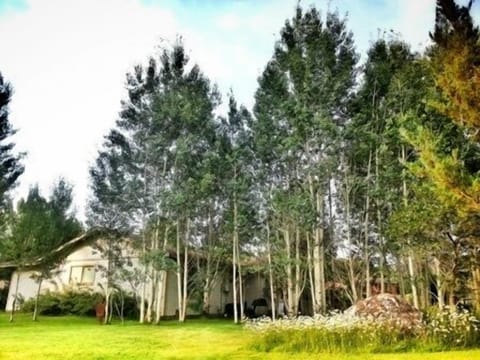 side view of house with aspen grove