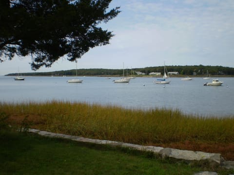Front yard harbor view